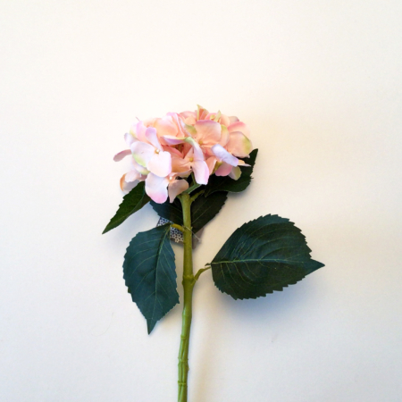 Hortensia roze
