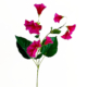 Lisianthus roze