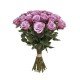 Valentijn paarse rozen Ecuador 70 cm